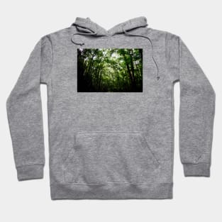 Tree Crowns Jungle / Swiss Artwork Photography Hoodie